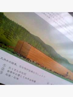 e0141077_8385425.jpg