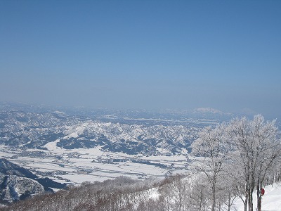 a0038882_17272252.jpg