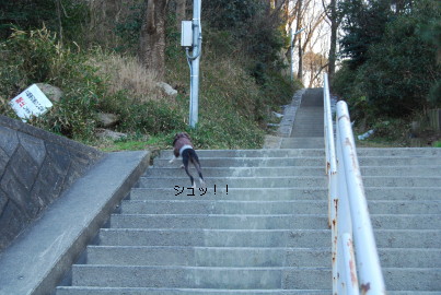 c0092787_8222471.jpg