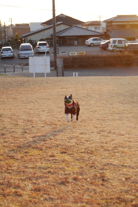 c0092787_8234235.jpg