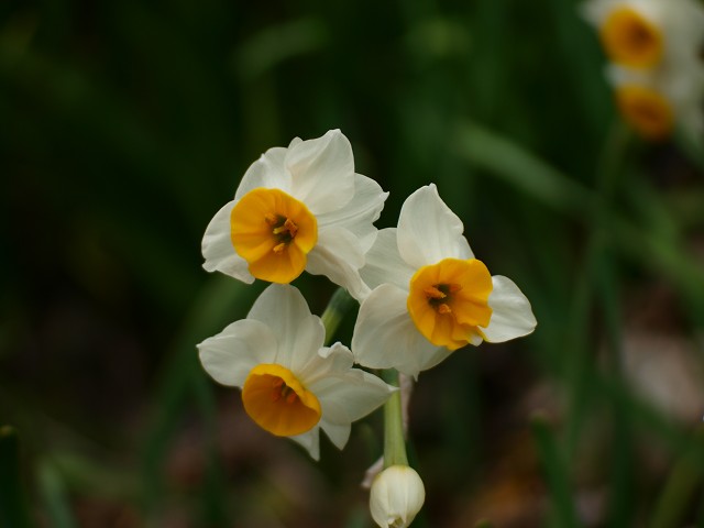 c0187587_20564969.jpg
