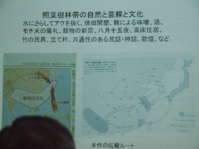 e0028387_20324211.jpg