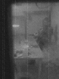 e0148989_2253.jpg