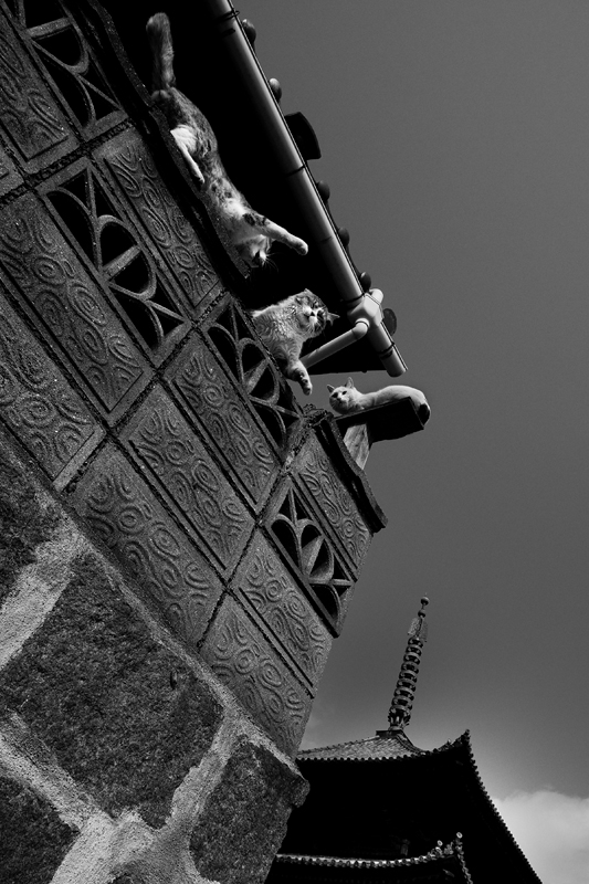 d0142891_20102185.jpg