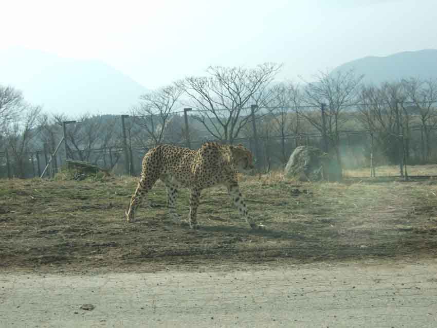 f0176194_14113195.jpg