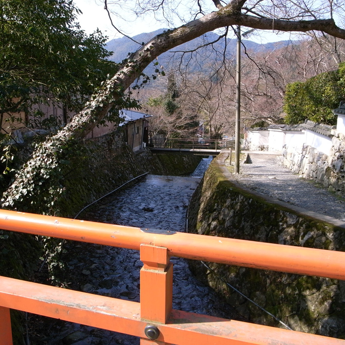 f0108399_2485867.jpg