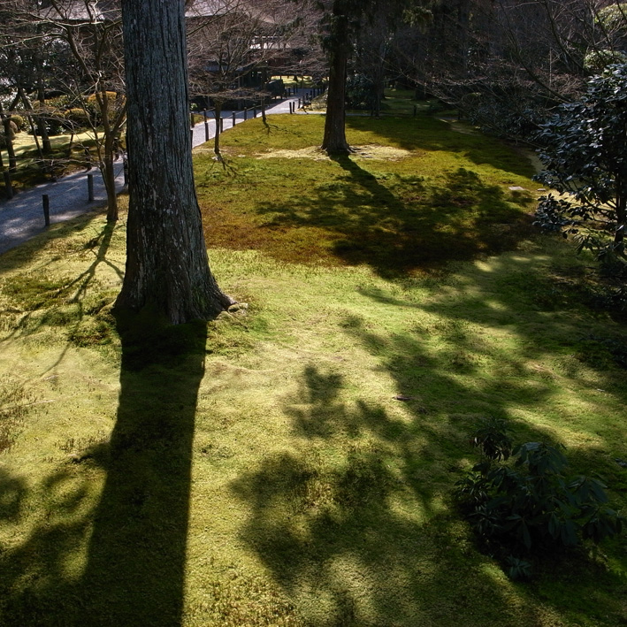 f0108399_2493879.jpg