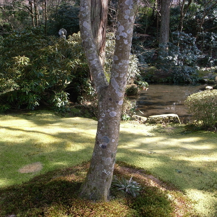 f0108399_2503925.jpg