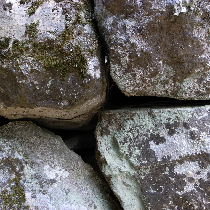 f0108399_2515993.jpg