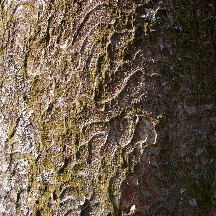 f0108399_2523682.jpg