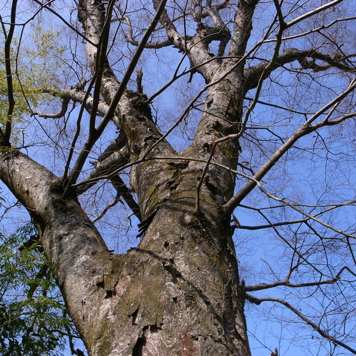 f0108399_2533161.jpg