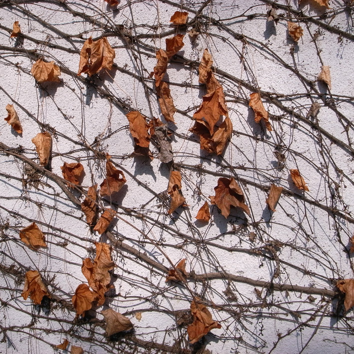 f0108399_253727.jpg