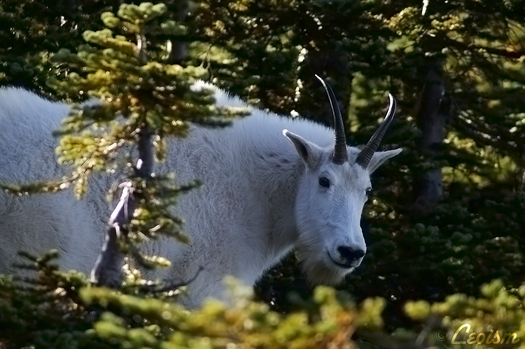 c0080101_13213489.jpg