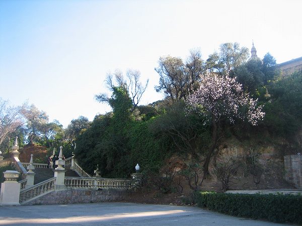 b0064411_15524975.jpg