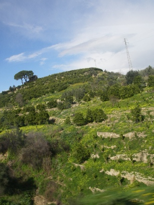 f0133814_18172886.jpg