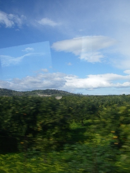 f0133814_1817768.jpg