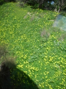 f0133814_18202826.jpg