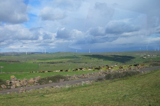 f0133814_18281797.jpg