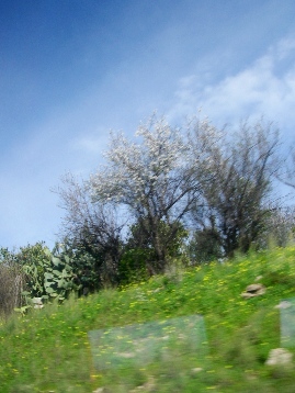 f0133814_18302853.jpg