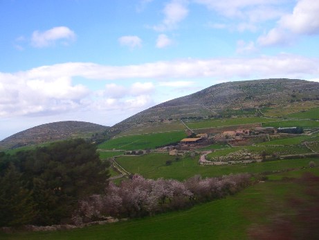 f0133814_1853790.jpg