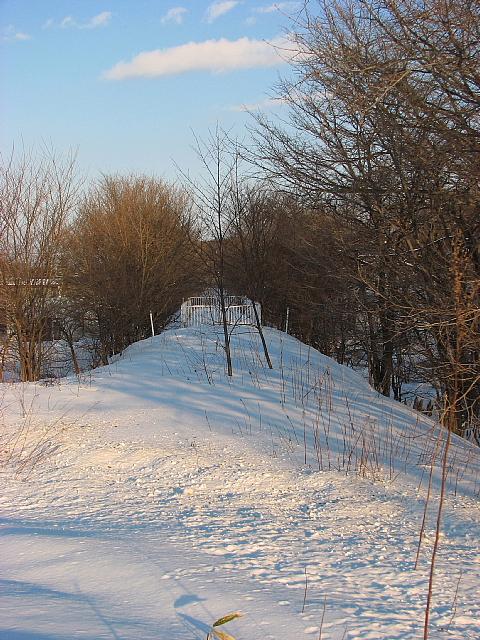 e0062415_1859070.jpg