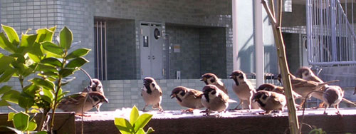 f0036716_12323199.jpg