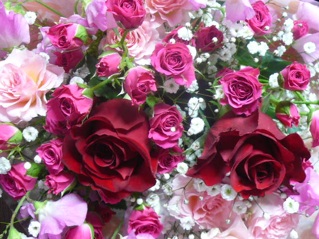 e0026017_2350057.jpg