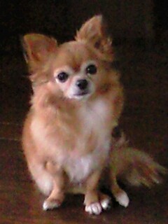 c0049919_1245429.jpg