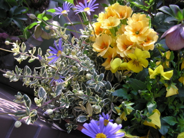 f0128723_010156.jpg