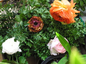 f0128723_064922.jpg