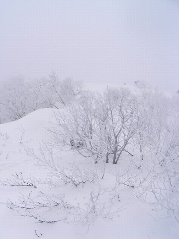 d0111124_0122433.jpg