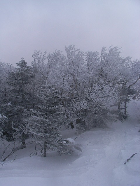 d0111124_0162199.jpg