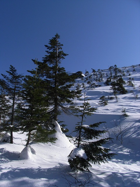 d0111124_0174054.jpg