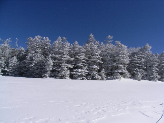 d0111124_0195424.jpg