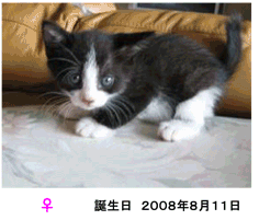 c0139527_21311347.gif