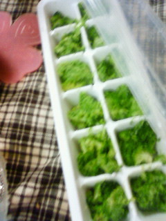 e0036931_224787.jpg