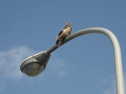 f0080631_20114844.jpg