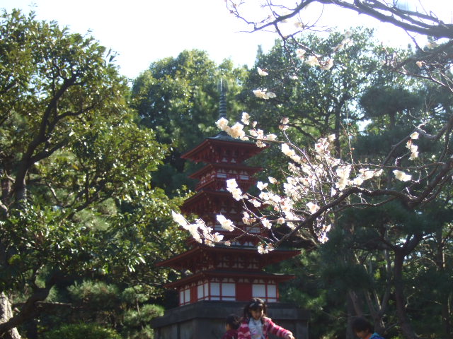 b0137932_19461560.jpg