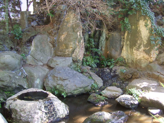 b0137932_19462864.jpg