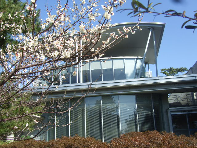 b0137932_1946555.jpg