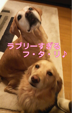 b0035734_16513537.jpg