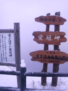 b0047734_14143517.jpg