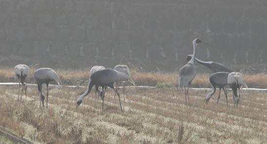 c0109235_8491079.jpg