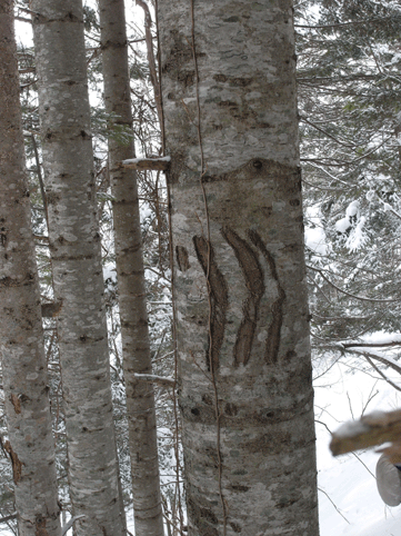 d0069235_4513542.gif