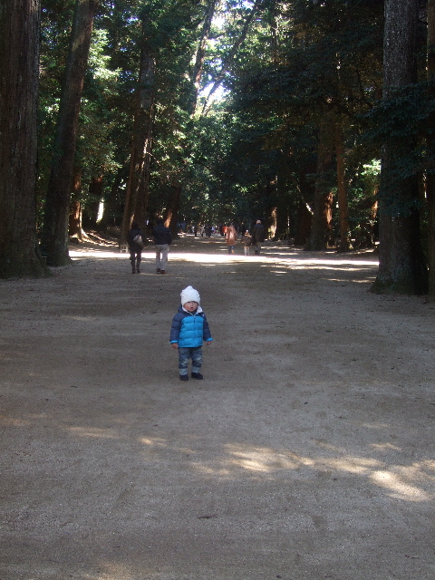 d0077035_112374.jpg