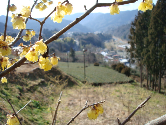 a0048040_2231499.jpg