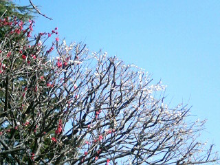 e0150843_17593519.jpg