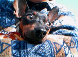 e0150843_18202081.jpg