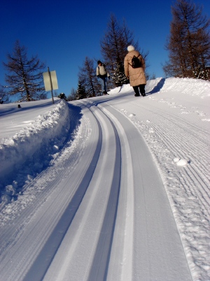 a0072247_19165717.jpg