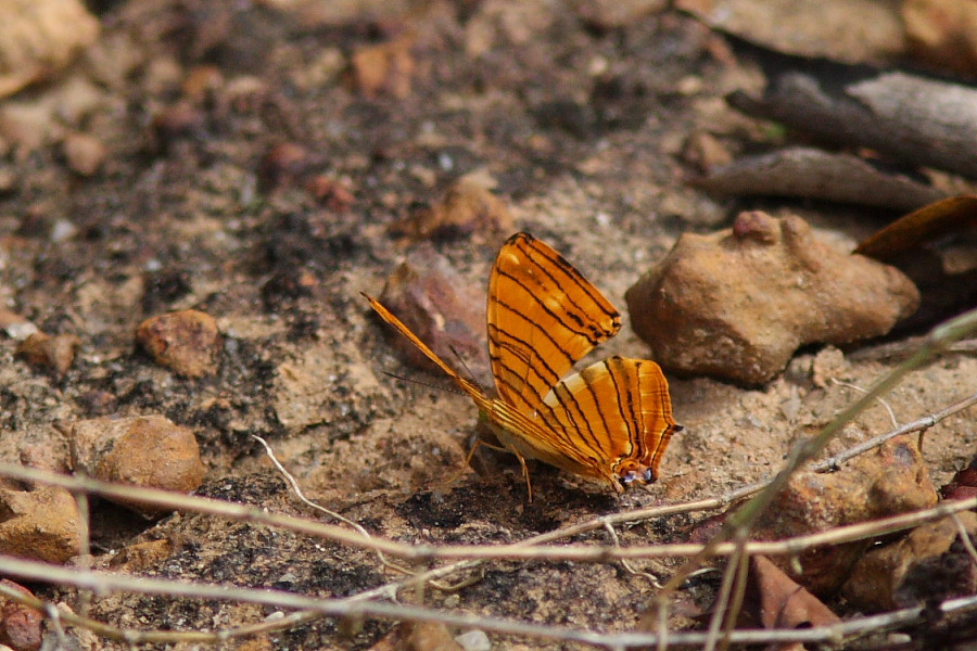 a0094850_20204063.jpg